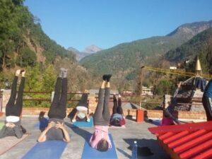 Read more about the article Residential 200 Hour Yoga Teacher Training in India