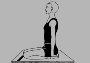Read more about the article Ananda Madirasana – How to do It, Benefits and Precautions