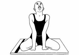 Read more about the article Simhagarjanasana (Roaring Lion Pose Yoga) – How to do it Step by Step Benefits and Precautions