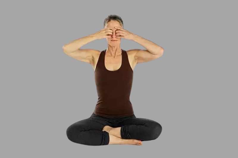 You are currently viewing Bhramari Pranayama Steps, Benefits, and Precautions