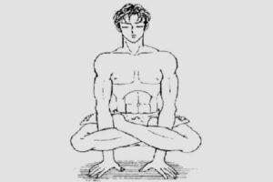 Read more about the article Kukkutasana (Cockerel Pose) Steps, Benefits, and Precautions