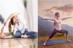 Read more about the article Difference Between Hatha Yoga and Ashtanga Yoga