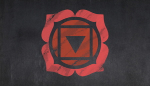 Read more about the article Root Chakra: Complete Guide to the Muladhara Chakra