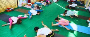 ytt-india-best-yoga-school