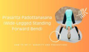 Read more about the article Prasarita Padottanasana (Wide-Legged Standing Forward Bend)