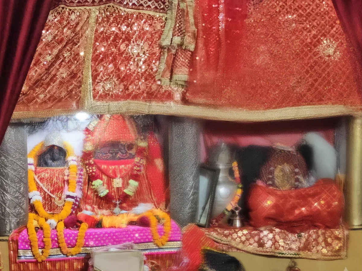 maa surkanda devi murti photo