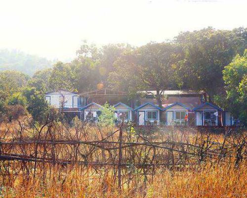 yoga ashram in goa